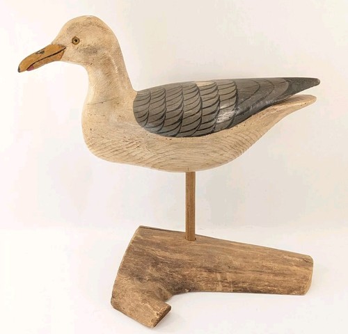 Herring gull jerry - gull, hutchins